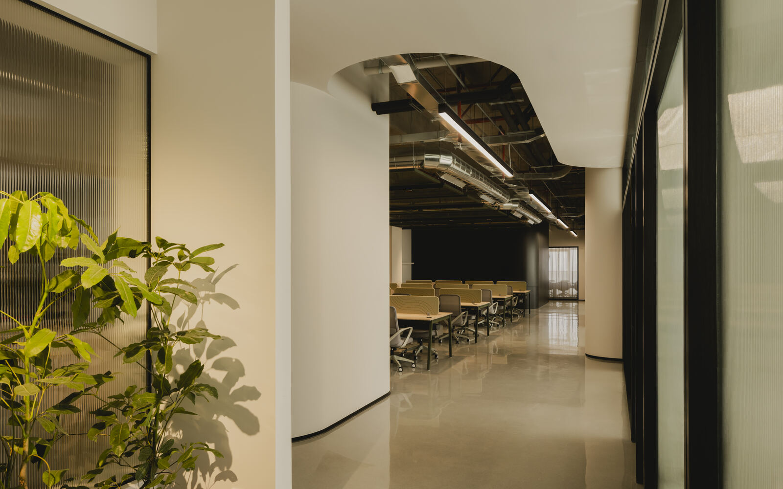 Corporativo SIMEX